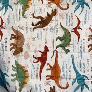 Cotton face mask, dinosaur